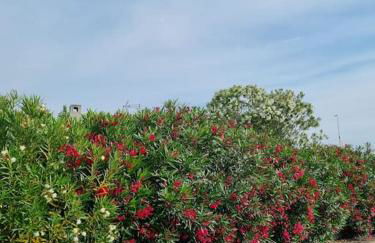 Vacances entre mer et montagne - Foto 31