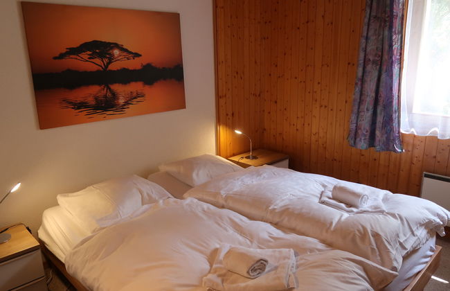 Mont-Fort D1 - Photo 5