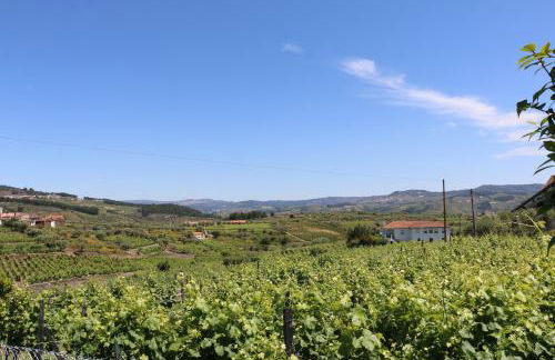 Solar dos Avós - Photo 51