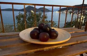 ZenSo Studios - Foto 6