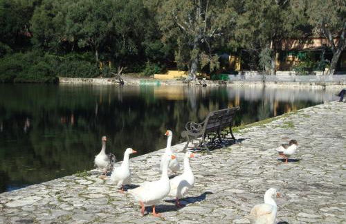 Captain's Gem - Foto 70