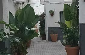 Casa Lara - Sierra de Cazorla - Photo 19