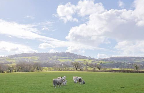 Daisy Cottage - Photo 3