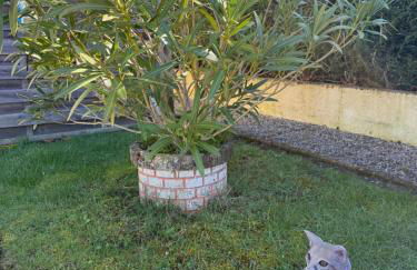 2 logements séparés 2 et 5 couchages au Rez-de-Chaussée à Chambretaud, 5 min Puy du Fou - Photo 58