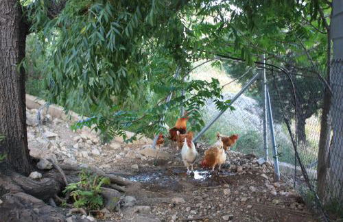 Villa Caramelo - Foto 16