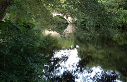 Kingfisher Lodge - Foto 13