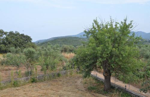 Gaia Messinian Villa - Foto 22