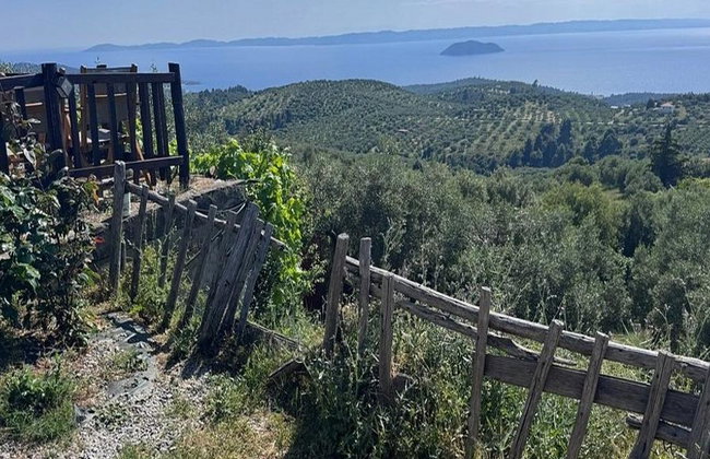 Halkidiki: Sithonia - Full-Day Private Tour - Photo 8