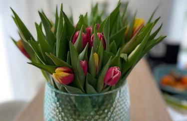 Architekten-Villa, moderne 220qm, 4 Schlafzimmer, Garten - Foto 34