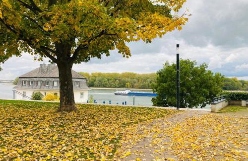 Nido Vela Appartement - Foto 47