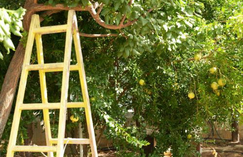 blueline guesthouse - Foto 23