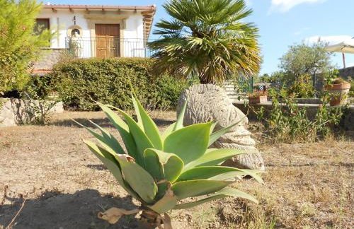 Case Vacanze Margherita - Foto 33