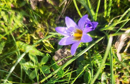 Casa do Pardal - Foto 29