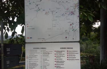 Strevi relax vino e belle passeggiate - Photo 30