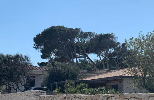 Villa Laricio - Foto 55