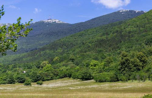 guesthouse LIPA - Foto 24