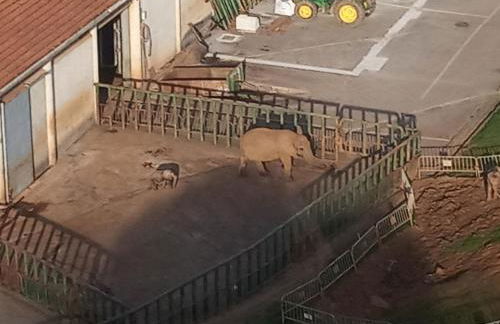 Vivienda Rural La Mazuga - Foto 78