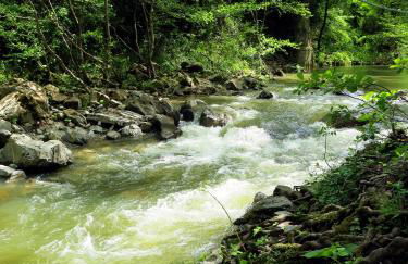 Andante appartamenti - Foto 28