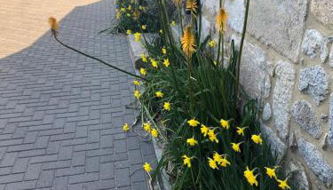 Chy An Gweal Farm Cottage - Foto 4