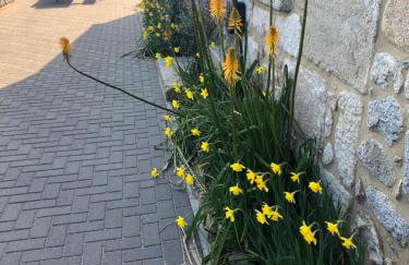 Chy An Gweal Farm Cottage - Foto 4