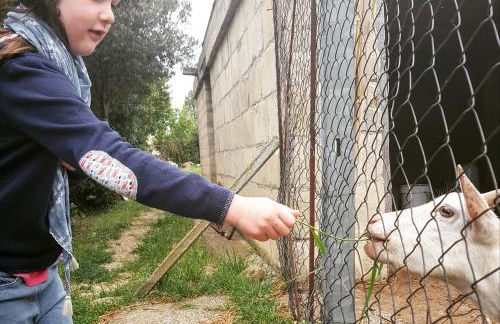 Agriturismo PETRA LUCANA - Photo 49