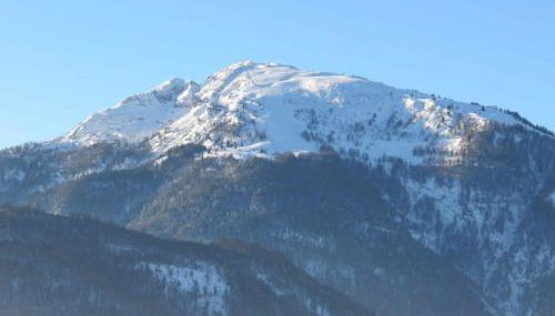 Ferienwohnungen Mooshäusl - Foto 5