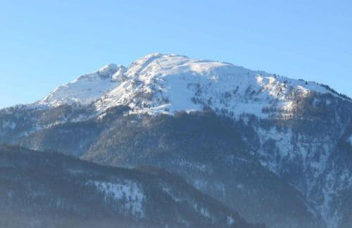 Ferienwohnungen Mooshäusl - Foto 5