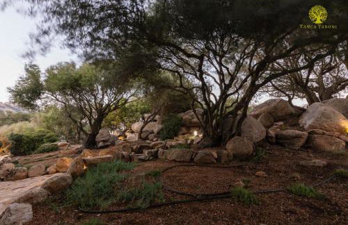 Agriturismo Bed and Breakfast Tanca Taroni - Foto 26