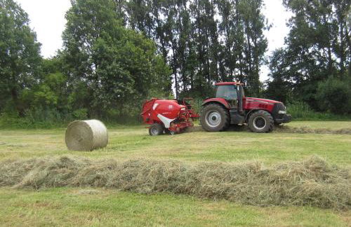Die Spreewaldbetten - Bauernhof - Foto 14