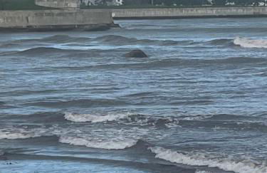 Swampscott Walk Downtown and beach - Foto 10