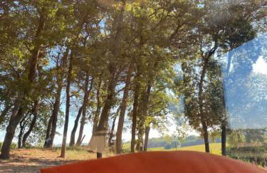 Tiny-House Grand Confort - Salle de bain italienne - Lit King - 10 min A7 - Foto 38