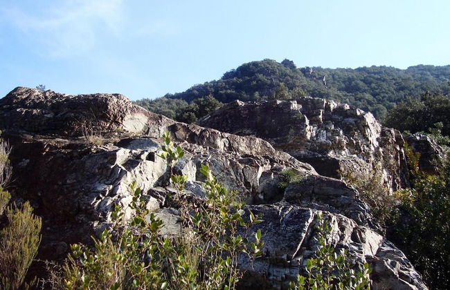 Mas Els Terrats - Foto 56