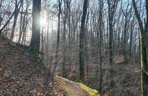 Gästehaus zum Rosengarten - Photo 52