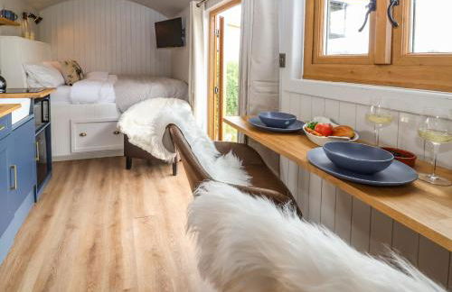 Cariad Mawr - Photo 4