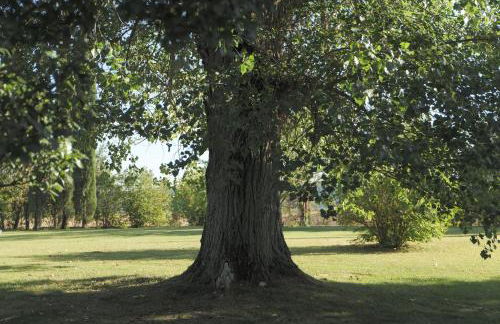 Antico Borgo Delle Rose - Photo 21