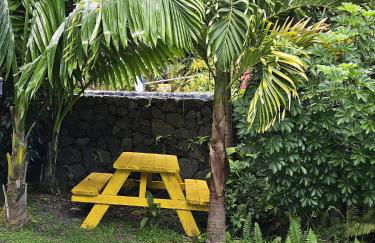 Honomu Place - Foto 39