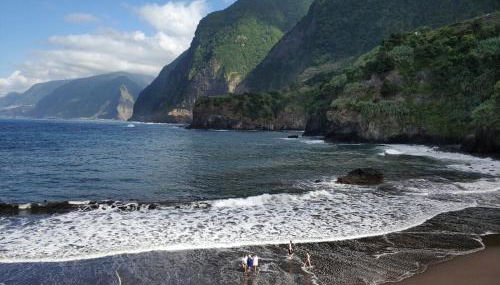 Lazy Lizard by the Ocean - Foto 3