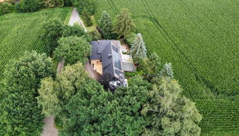 Gabis Ferienwohnung Bendingbostel - Foto 4, Garden