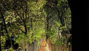 Eulennest - Tiny House im Habichtswald - Foto 4, Garden view