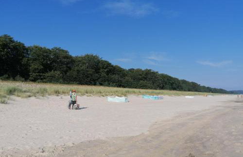 Pension Haus Anneliese - Foto 46