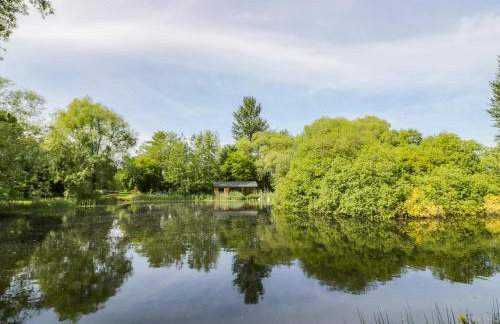 Kingfisher - Foto 19