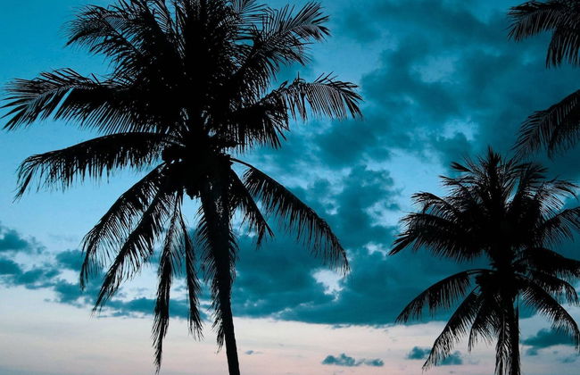 Vista Hermosa Third Floor - Elevator - Foto 54