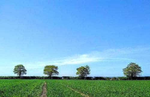 Large Luxury House beside Old Manor, near Bath - Foto 8
