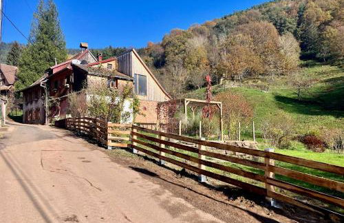 Maison Grande Verrerie 6 personnes RIBEAUVILLE - Foto 2