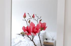 Haus am Meer-Ferienwohnungen Sylt - Foto 13