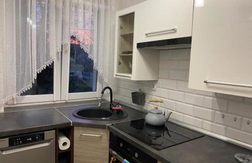 Bielawa Góry Sowie - Foto 3