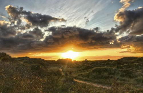 Arche Svea Kiebitz - Foto 14