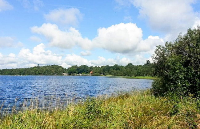 Holiday Home in Ansager - Photo 36