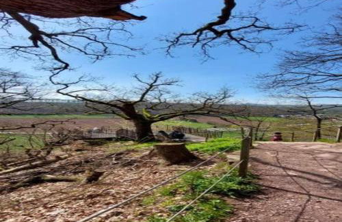 Two separate farmhouse apartments under one roof - Foto 22