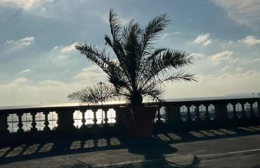 Royal View - Foto 34